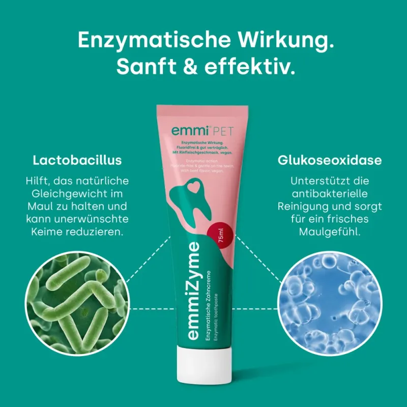 emmiZyme Zahnpflegegel